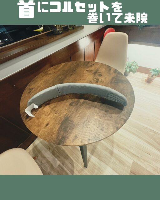 3日前から痛み出した首が、今朝になったら動かせない…。

50代 / 男性(月に1〜2回ほど通院されてる患者さん)
 
3日前に顎が腫れ、しばらくすると肩まで腫れてきたとのこと。
翌日には首〜左腕にかけて嫌な感覚が出始め、
そして今朝、起きようとしたら首が激痛で全く動かせない状態に…💦

来院時、いつもの姿とは違いコルセットを巻いて来られたのでビックリしました😅
当院に来る前に整形外科を受診し、「特に異常なし」
ということでコルセットと鎮痛剤を処方されたそうです💊

動作を確認すると、
上下の動きは“かすかに”できるものの、
左右に倒す・捻る動きは全く不可。
やっとの思いで車を運転して来たとのこと。

施術は
鍼1本 + KXT・KYTを用いた全身調整。

鍼である程度可動域を作ったあと、
KXT → KYTの順に数ヶ所アプローチすると…

施術を1つ進めるたびに可動域が広がり、
痛みもエクササイズでしっかり軽減。

施術後は、来院時に着けていたコルセットなしで帰宅されました😊
「明日は会社に着けてこっかなw そしたら心配してもらえるしw」
と冗談が言えるほど、笑顔に戻られて安心しました😄

※施術効果には個人差があります。

今回は恥ずかしがり屋さんのため写真はコルセットのみです📷💦
#郡山 #整体 #KYT