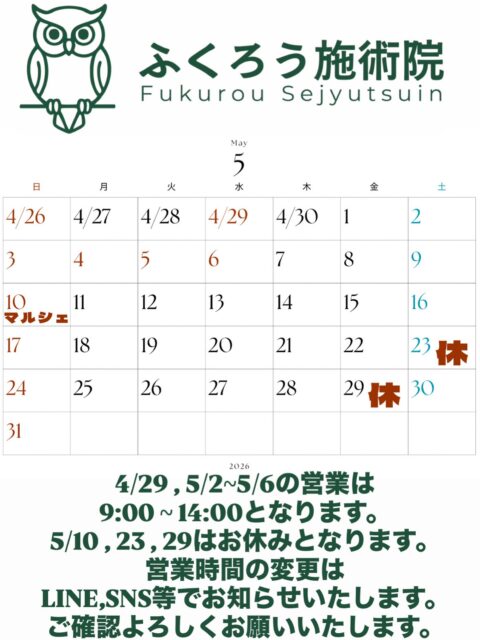 🦉
📢5月の営業スケジュール

🎏GWは【9:00〜14:00】で営業
🛌休み：5/10・5/23・5/29

※4/29は 『郡山シティマラソン』 に伴い、
さくら通り・新さくら通り・はやま通り・内環状線・国道49号線に交通規制が入ります🚧
ご来院の際はお気をつけください！

🌿5月は疲れが出やすい時期
だるさ・肩こり・腰痛は早めのケアを👌